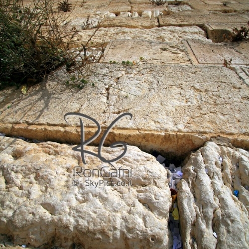 The Western Wall