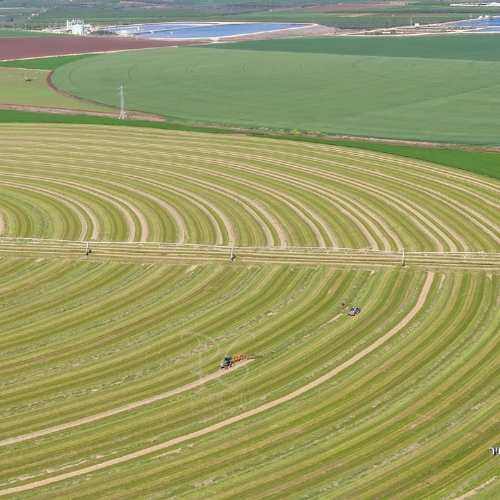 Jezreel valley fields