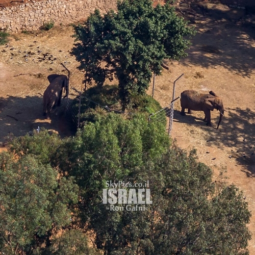 הספארי ברמת גן