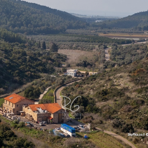 כרם מהרל,  חוף הכרמל