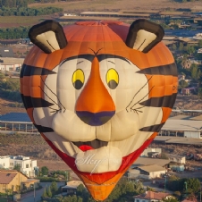 Hot Air Balloons 