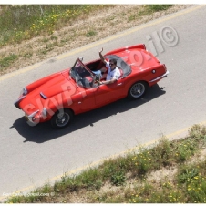 Cars made in Israel