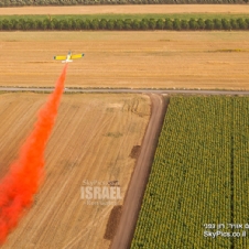 חג שבועות, חג הביכורים מהאוויר